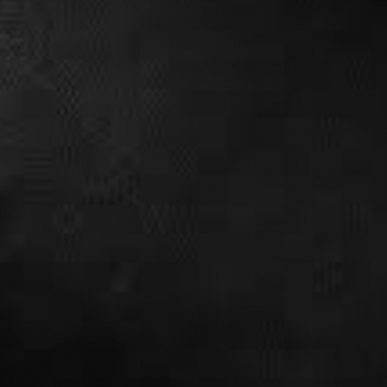 Black PPM Leather [+$20.00]